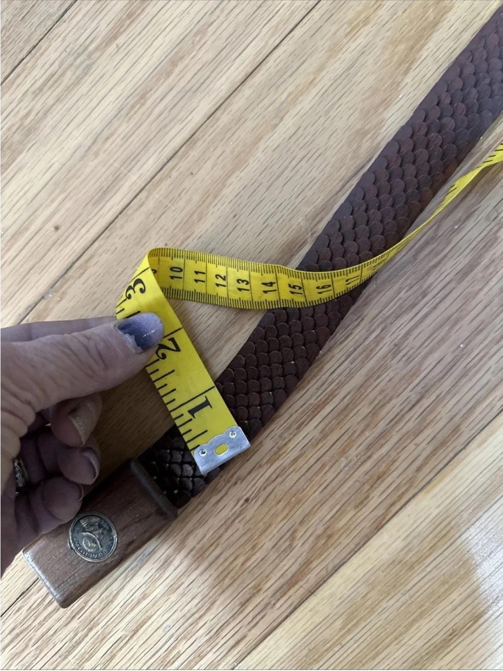Vintage Wood Scale's Design Belt VN Balboa Coin on Zitan Rosewood Buckle